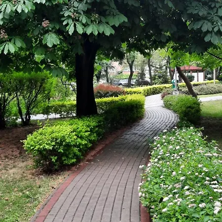 Appartamento W Centrum Wroclawia *