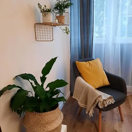 W Centrum Wroclawia Vratislav