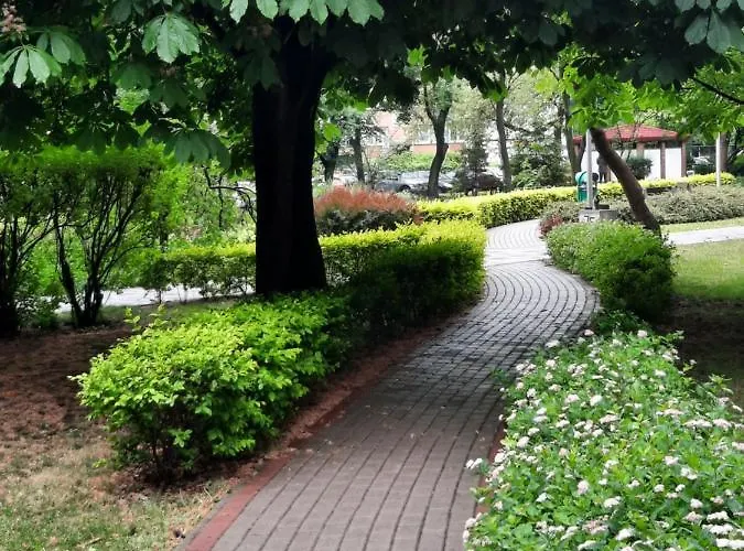 דירה W Centrum Wroclawia *